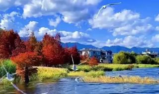 最漂亮手机 最漂亮手机